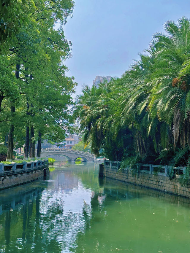 【中山公園】有中式庭院+動物園+相親角，得閒來逛逛吧