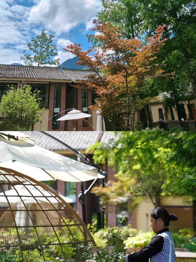 森林植被覆蓋率高，天然的避暑勝地