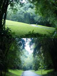 喺深圳｜落雨嘅日子令我悄悄躲入咗精神避難所～