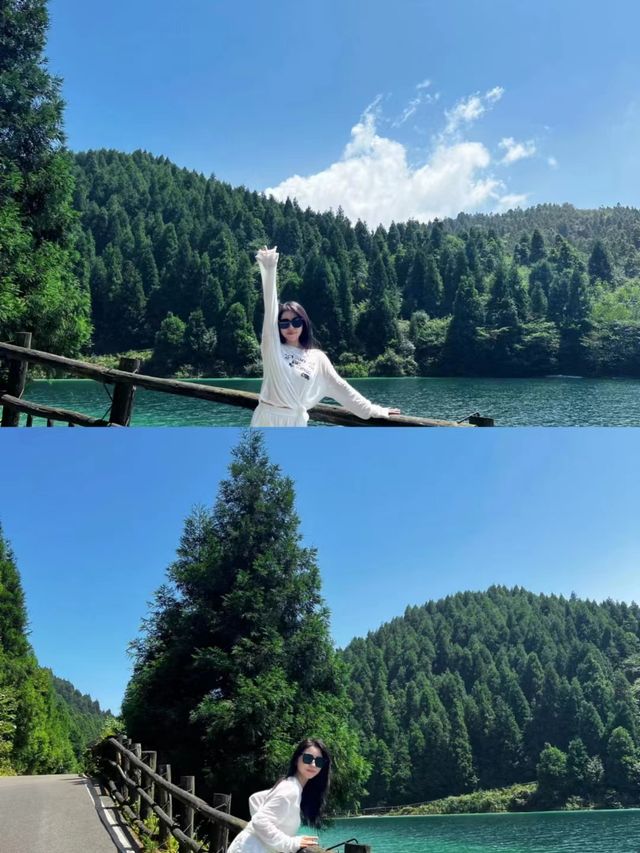不是阿勒泰去不起而是重慶更有性價比！！。