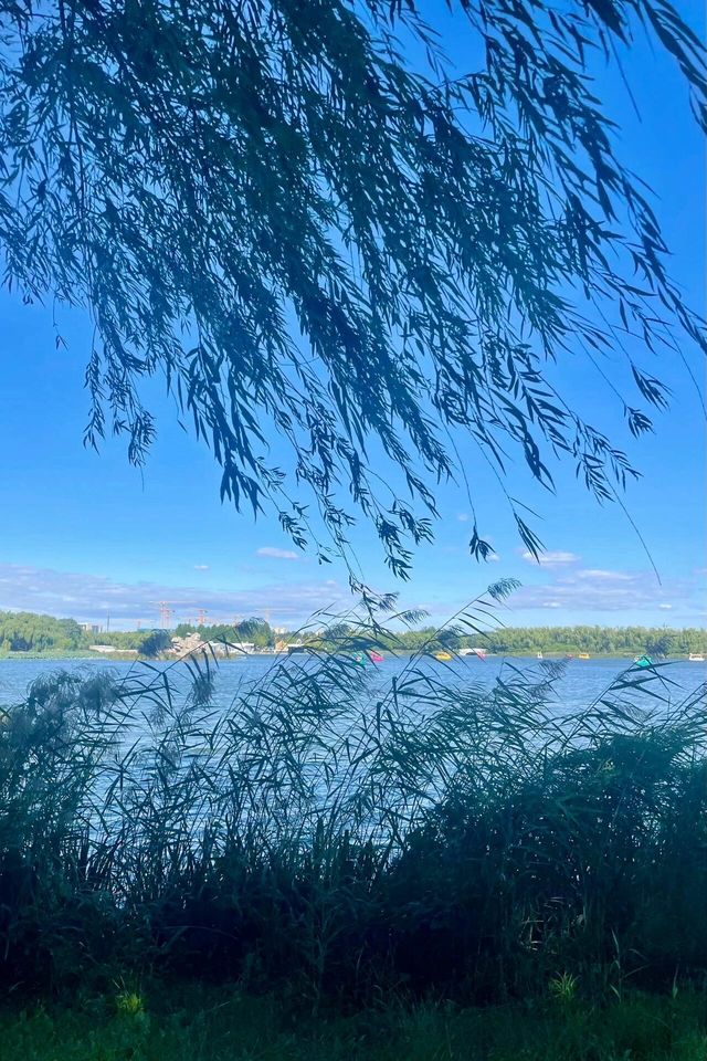 北京大興寶藏遛娃地丨念壇公園。