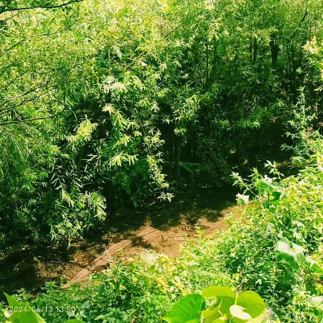 探索芝加哥｜密歇根湖，領略風城的浩渺之美與靈動風情。