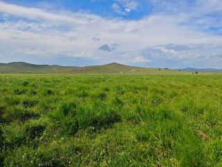 Rainbow Road: A Complete Guide to Self-Driving on Route 99 in Xilingol, Inner Mongolia.