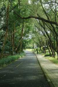 總有一次在公園相遇吧，我怕我會愛上這裡。