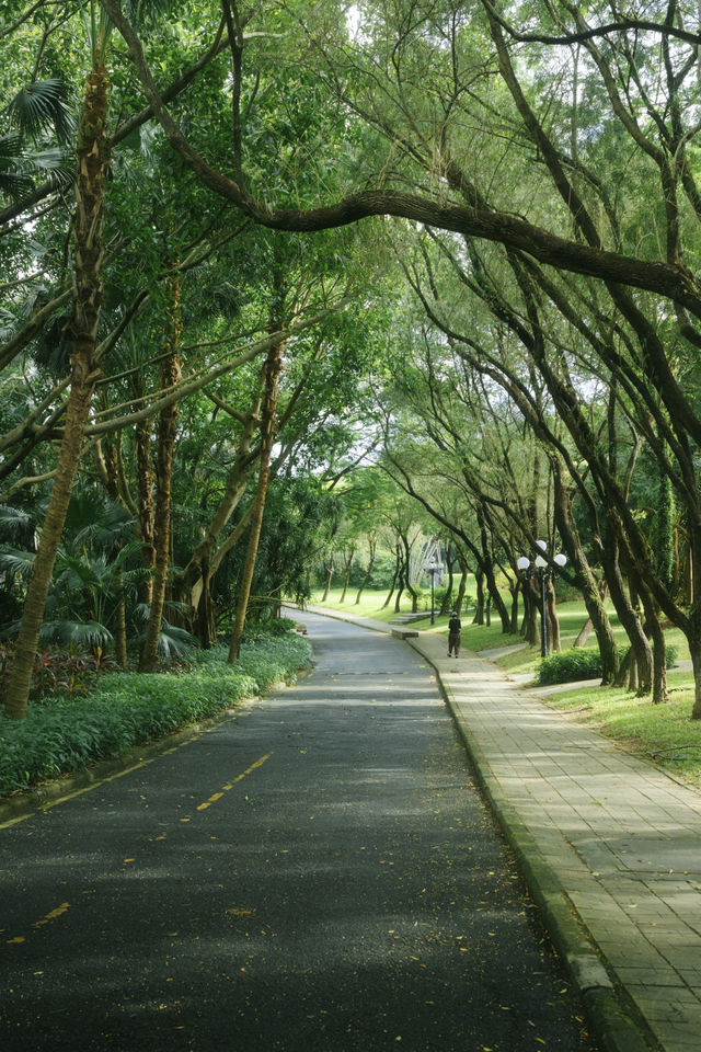 總有一次在公園相遇吧，我怕我會愛上這裡。