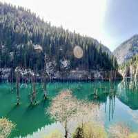 Autumn is the most beautiful season of Kanas Lake