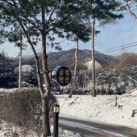 강원도 평창 휘닉스 파크 뷰 근처 가성비 숙소 🏠