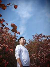 大紅寨登山賞紅葉觀賞路線與拍攝技巧全攻略。