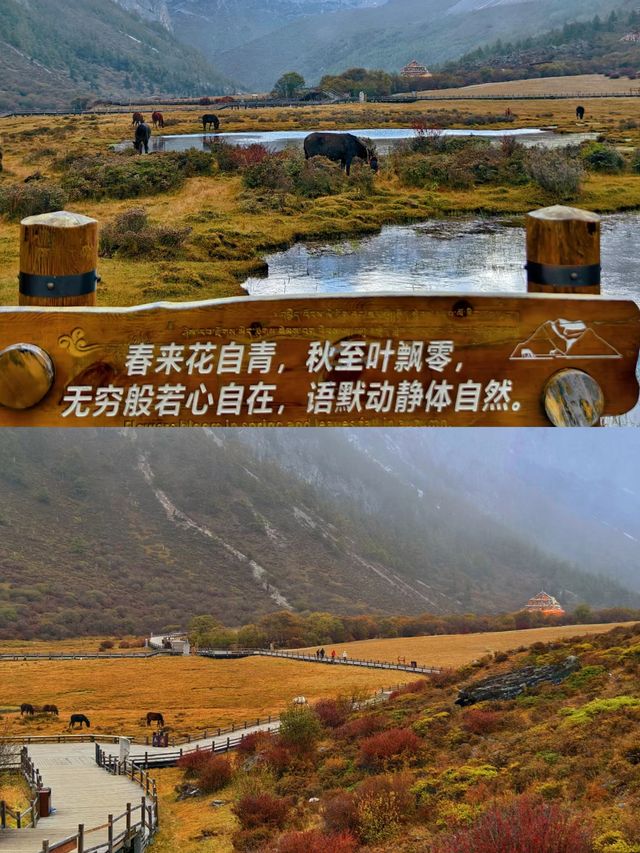 稻城亞丁  別讓我們失約。