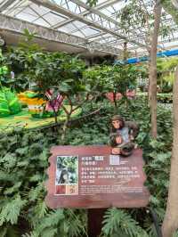 南宮五洲植物園——秋季親子遊好去處。