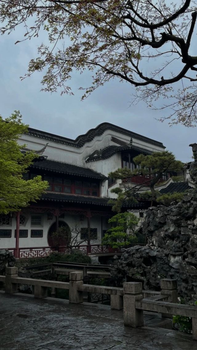 人回來了，魂還在蘇州，家人們誰懂啊。