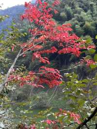 4日玩遍江西南昌-廬山超實用攻略速覽。