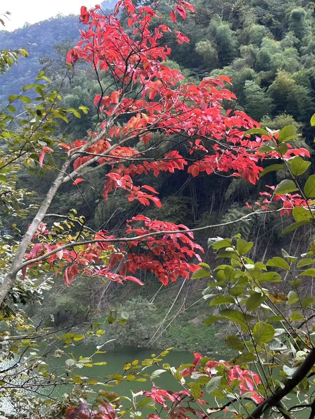 4日玩遍江西南昌-廬山超實用攻略速覽。 4日玩遍江西南昌-廬山超實用攻略速覽。