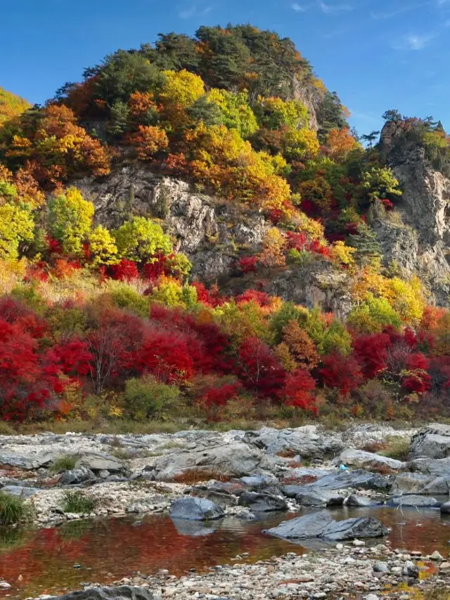 5-day itinerary for Chengdu and other must-see places.