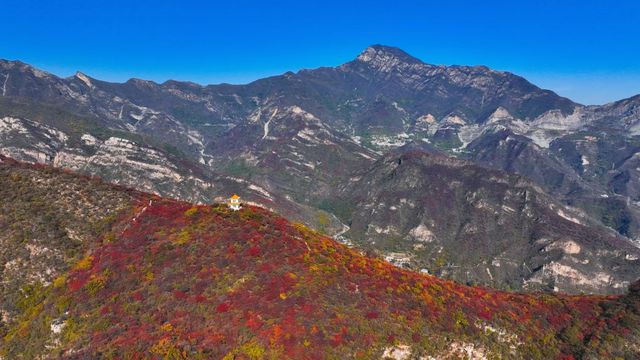 坡峰嶺。
