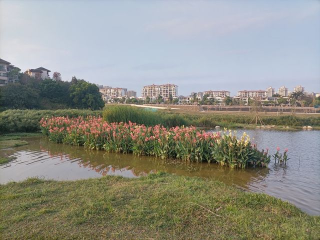 惠陽體育文化公園景區。