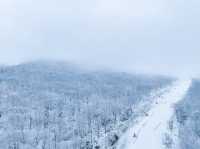 北大湖滑雪度假區 冰雪盛宴高山霧凇。