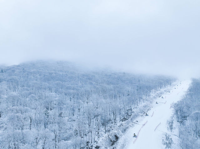 北大湖滑雪度假區 冰雪盛宴高山霧凇。