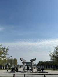 商丘日月湖公園 | 邂逅城市中的自然之美。