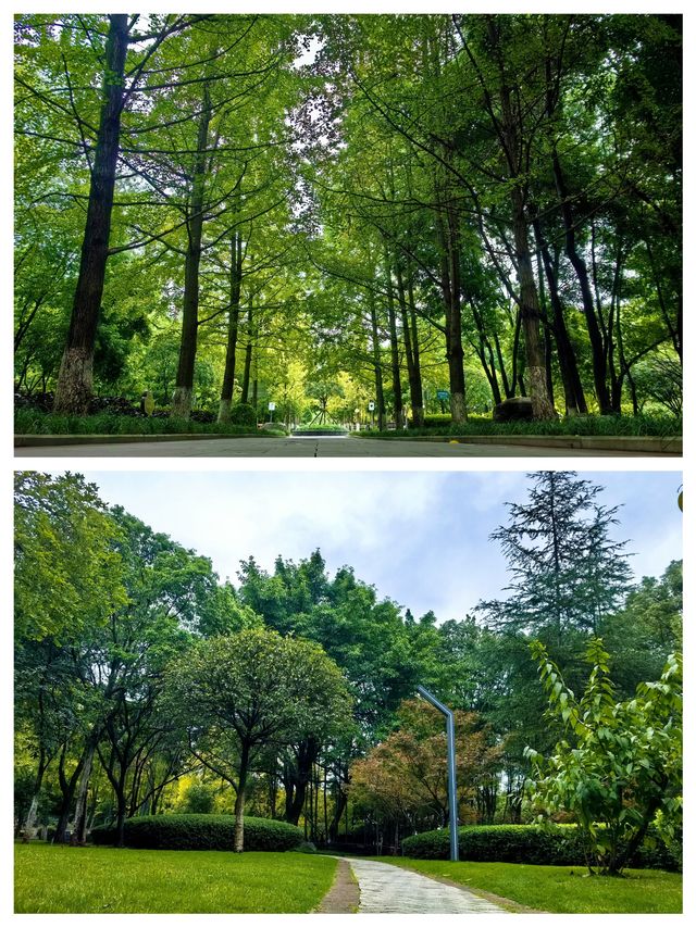 城市中的綠洲——玉泉公園。