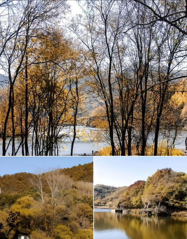玉渡山一日遊 秋日調色盤模式全開。