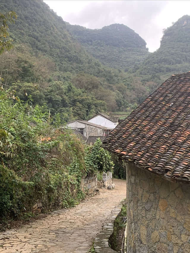 爸爸去哪兒一雨補魯天坑。