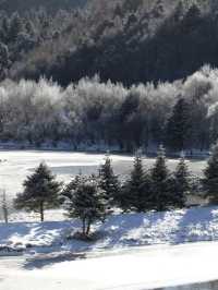 已經開始期待香格里拉的雪景了。
