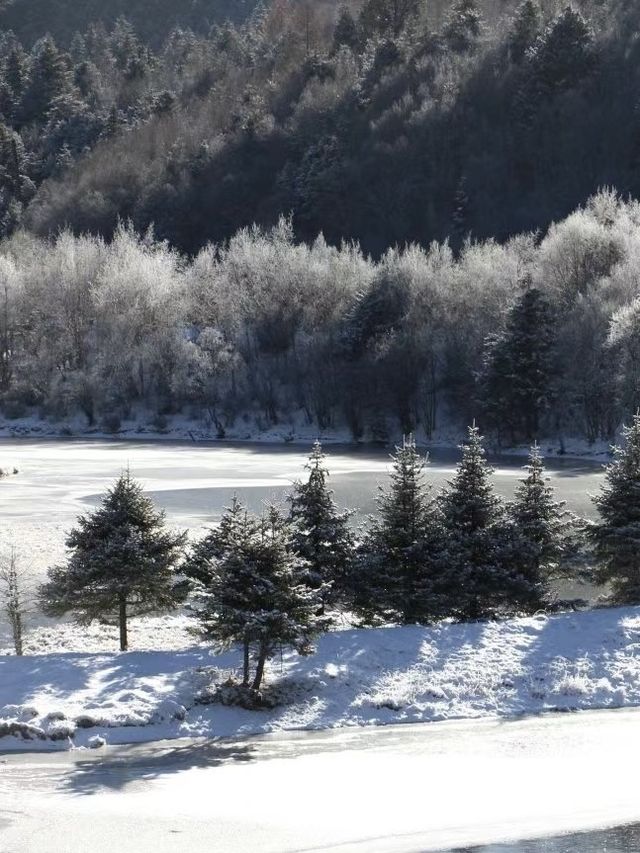 已經開始期待香格里拉的雪景了。