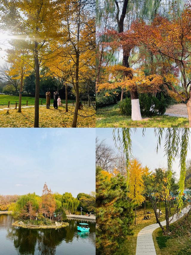 青島植物園！秋日限定美景~趕緊來撿秋啦！