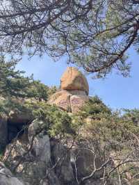 6日暢遊徐州-日照-青島 看這篇就夠了別錯過
