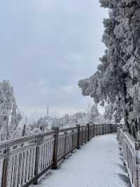 廣東出發3大賞雪寶藏城市！快記下！