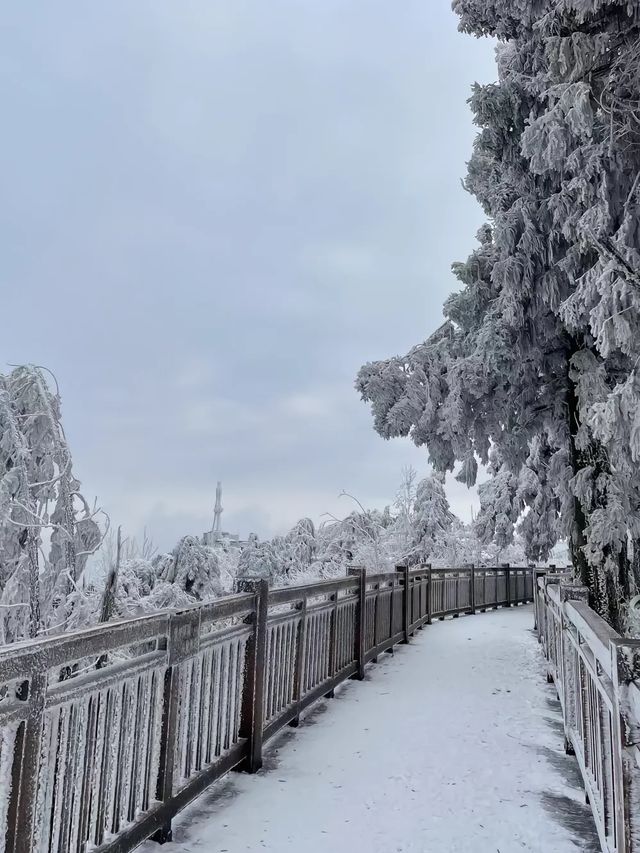 廣東出發3大賞雪寶藏城市！快記下！