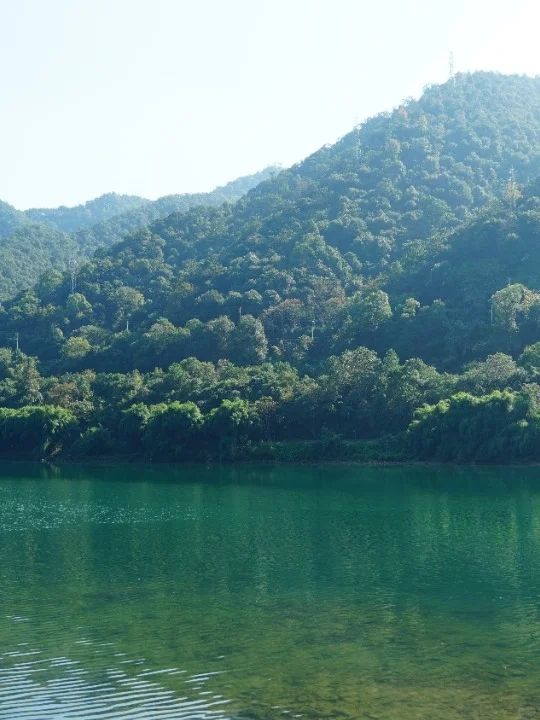 大奇山國家森林公園  有山有水好美