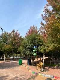 【衝啊】南陽野生動物園，零距離接觸大自然
