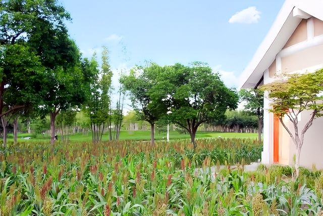 地鐵直達的免費公園有多絕！！！