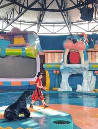 武漢海洋公園攻略
