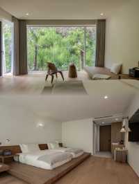 到隨州，探索銀杏秘境！