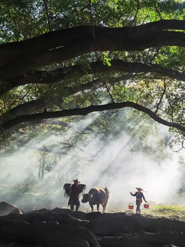 ยามเช้าที่หมู่บ้านหยางเจียซี