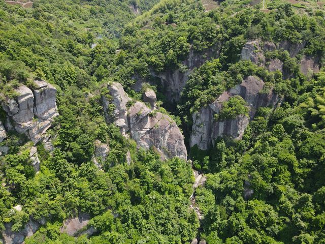 新昌倒脫靴行山