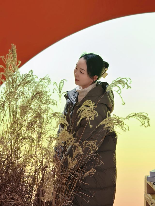 成都超新奇好玩的商場「卡皮巴拉」「蛋仔派對」