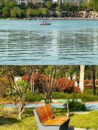 齊盛湖公園，城市中的綠洲
