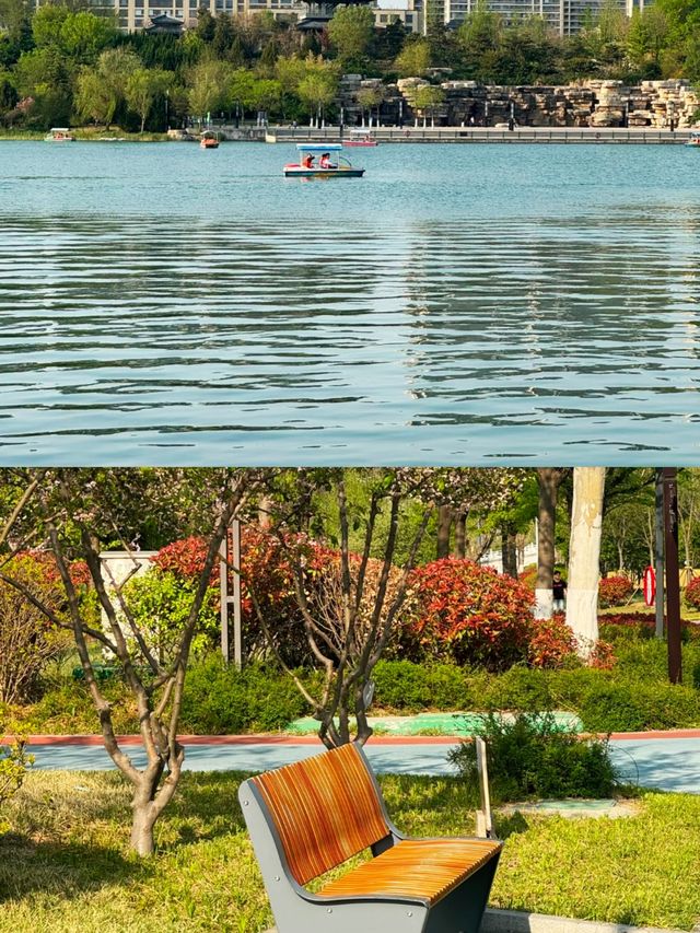 齊盛湖公園，城市中的綠洲