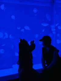 海洋館都搞成這樣了