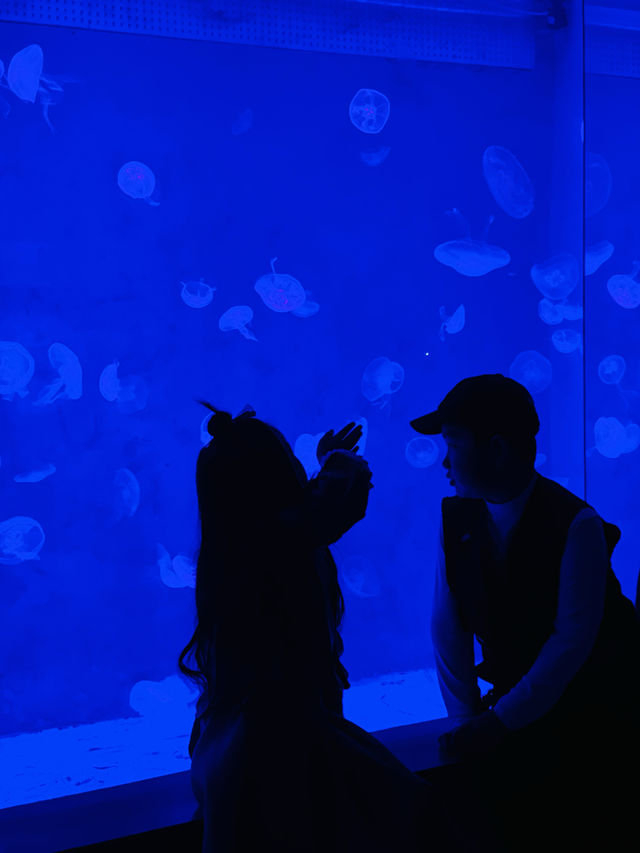海洋館都搞成這樣了
