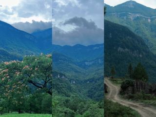 충칭의 "작은 촨시"라고 불리는 치수탕에 다녀온 것이 정말 헛되지 않았습니다!