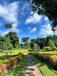 Exploring the Royal Botanic Gardens in Kandy, Sri Lanka