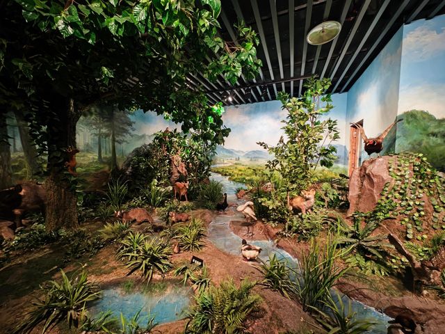 永川打卡｜走進千百年文化博物館