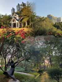 珠江公園 | 城市綠肺裏的夢幻之約