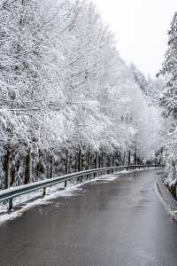 江津四面山下！雪！啦！