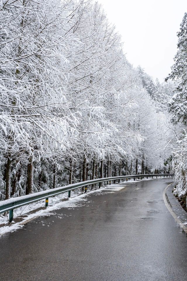 江津四面山下！雪！啦！